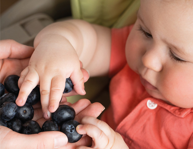 Baby-led weaning_blueberries_s.jpg