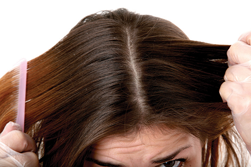 head lice comb hair.jpg