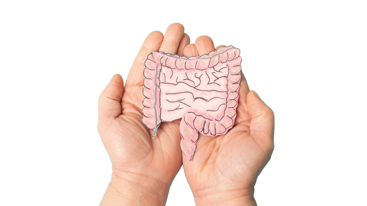 health-calendar-main